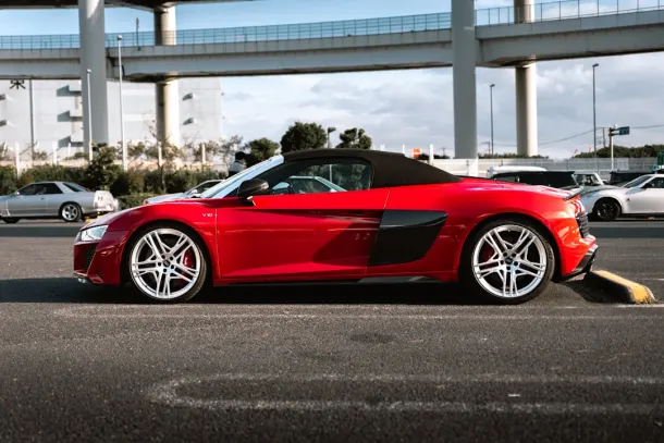 Casino Wizard Slots Aip Android/iOS